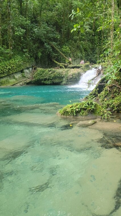 Reach Falls-安东尼奥港必去景点