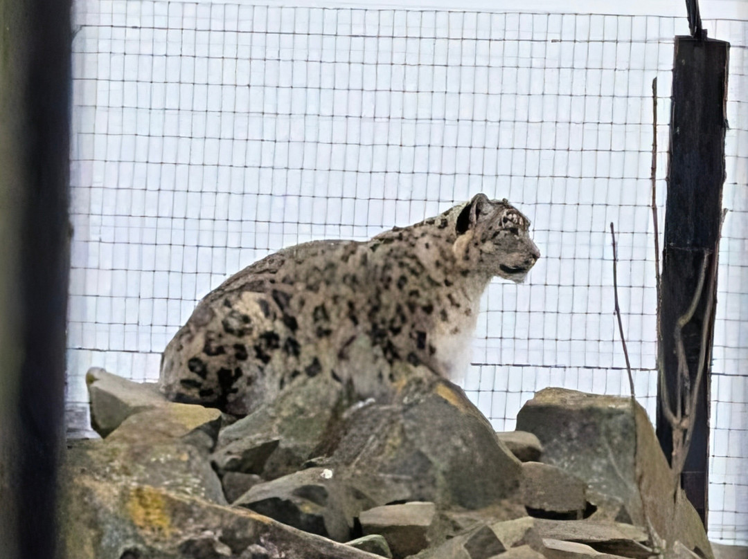 Northumberland Zoo-莫佩思必去景点