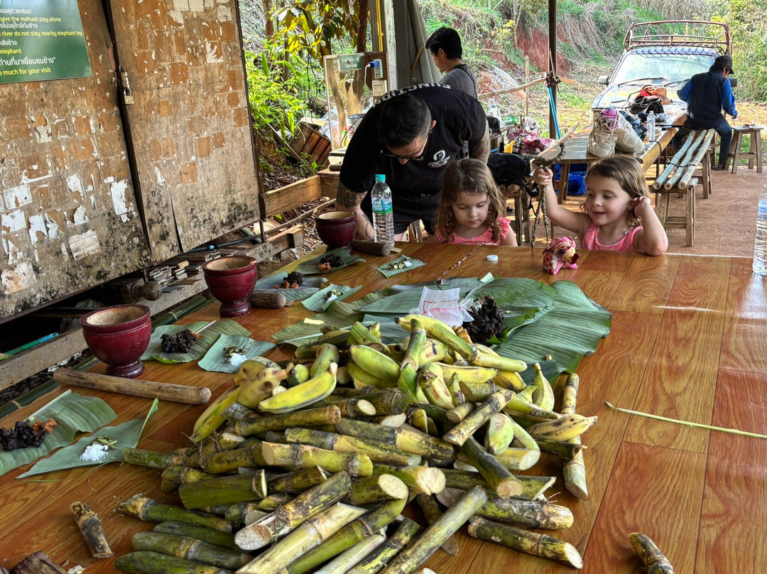 Elephant Sanctuary Care Park-清迈必去景点