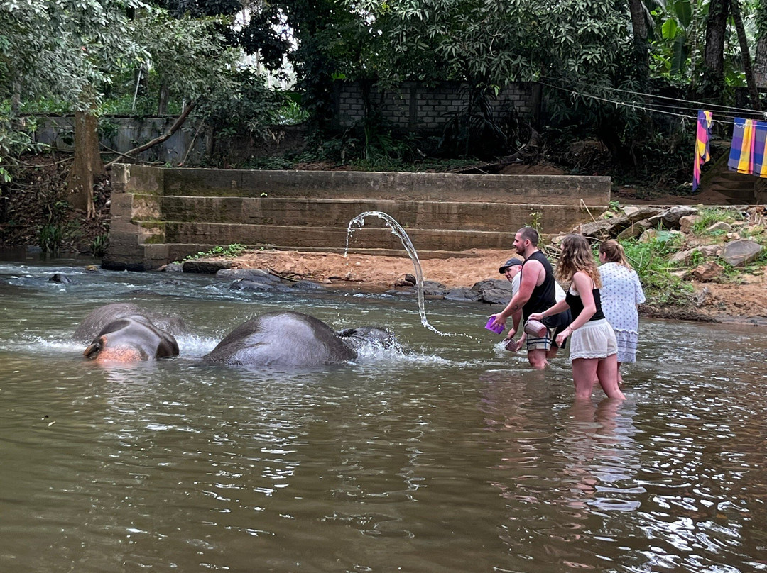 Elephant Freedom Project-凯格勒 必去景点