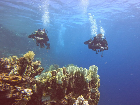 Travely Egypt Tours-马萨阿拉姆必去景点