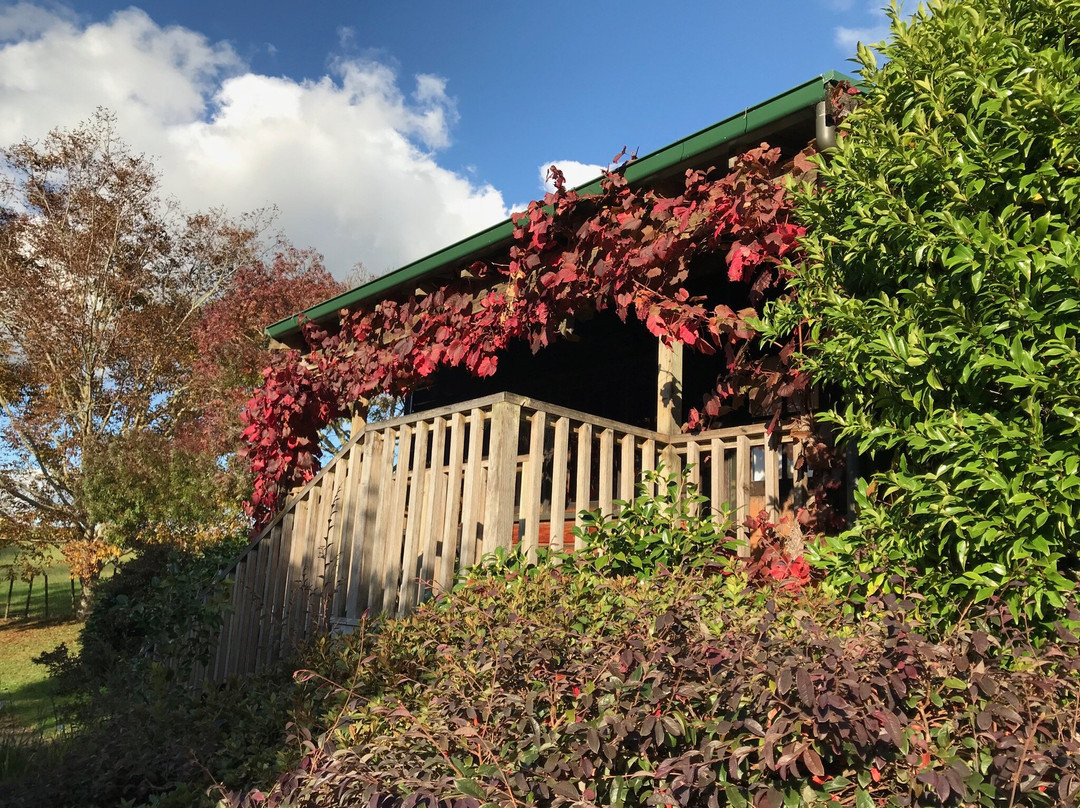 Vineyard Cottages主图