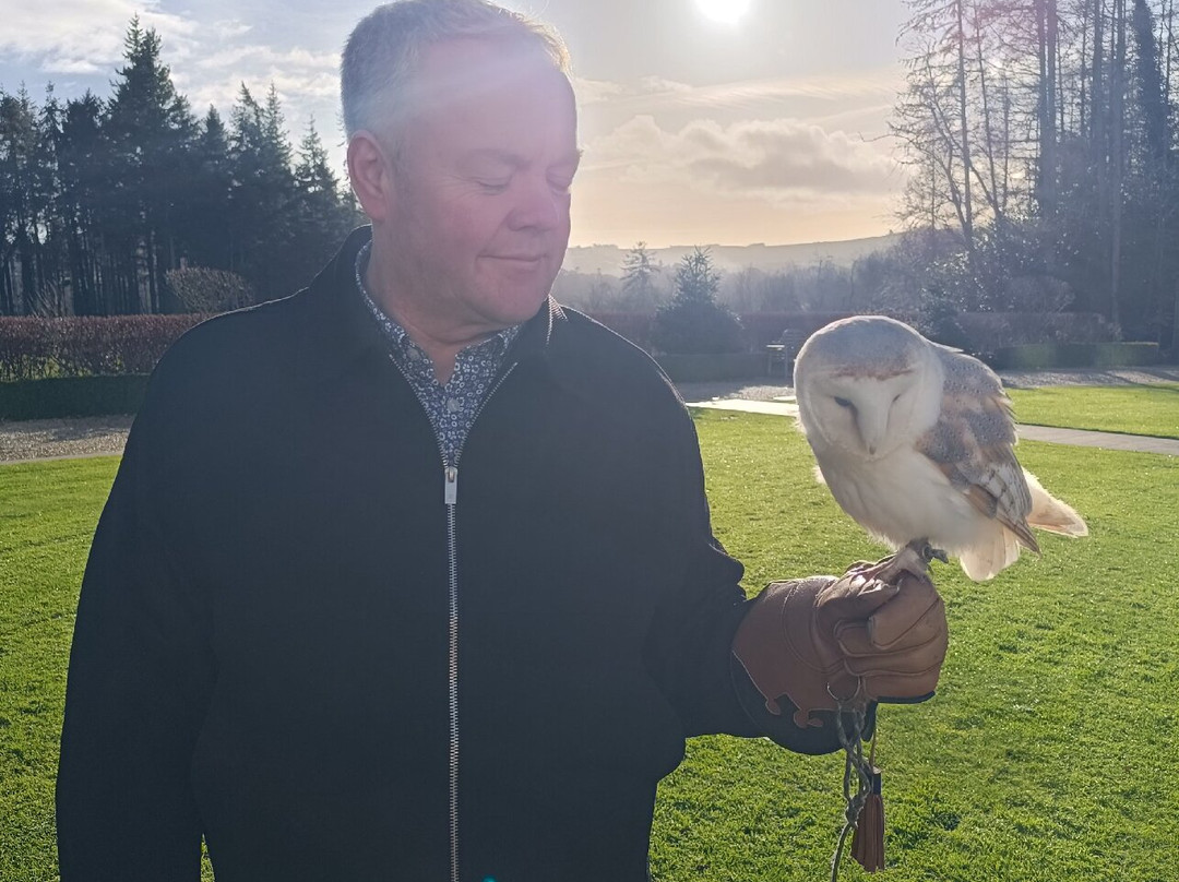 East Coast Falconry-County Wicklow必去景点