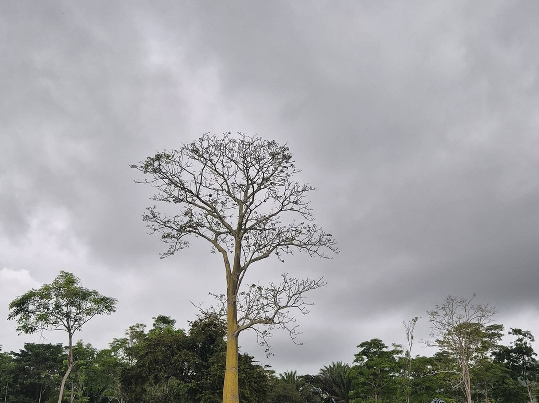 ALEX BIKERS-Necocli必去景点