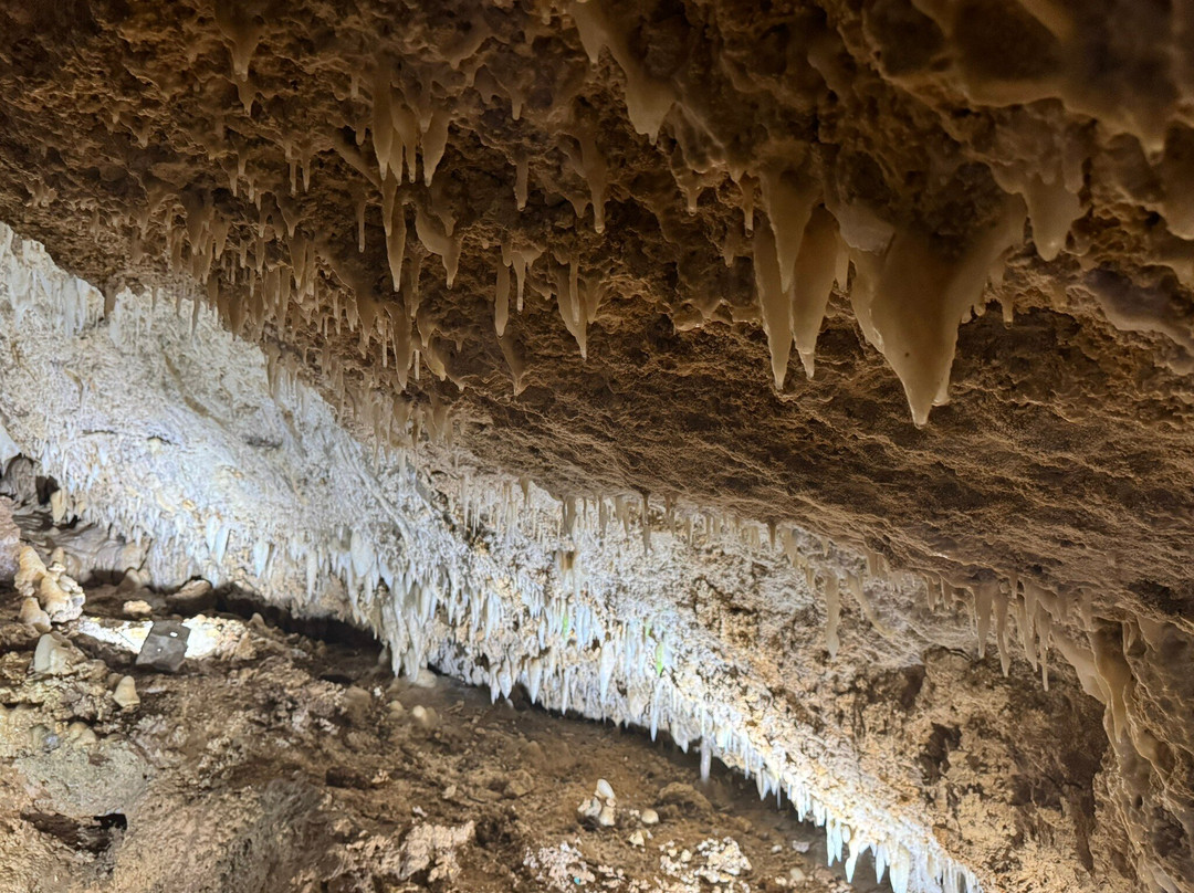 Harrison's Cave Eco-Adventure Park-Saint Thomas Parish必去景点