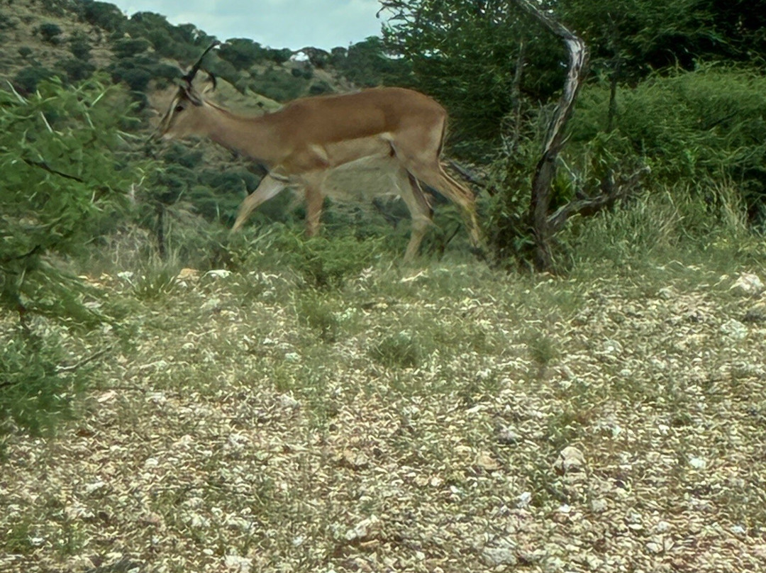 Daan Viljoen Nature Reserve-温德和克必去景点