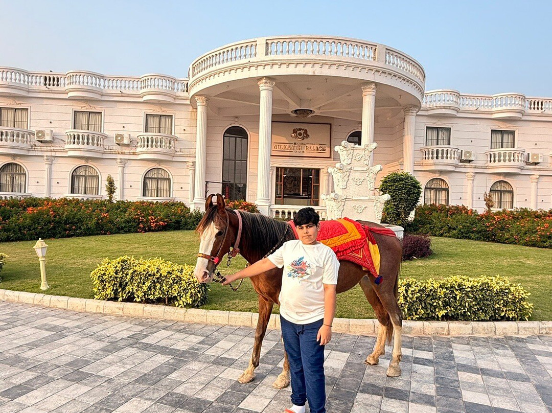 Hotel Nilkanth Palac