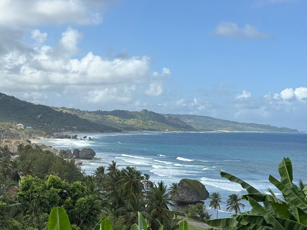 Zemi East Coast Cafe