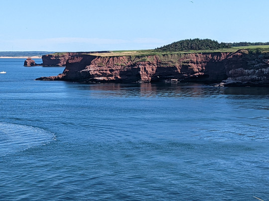 Pauley Charter and Adventure Tours-Vernon Bridge必去景点