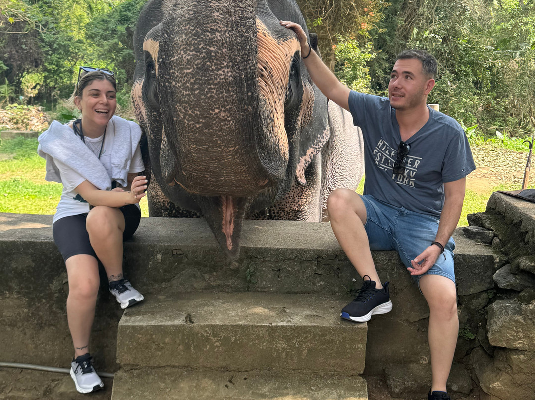 Exotic Island Tours - Private Driver Sri Lanka-Ganemulla必去景点