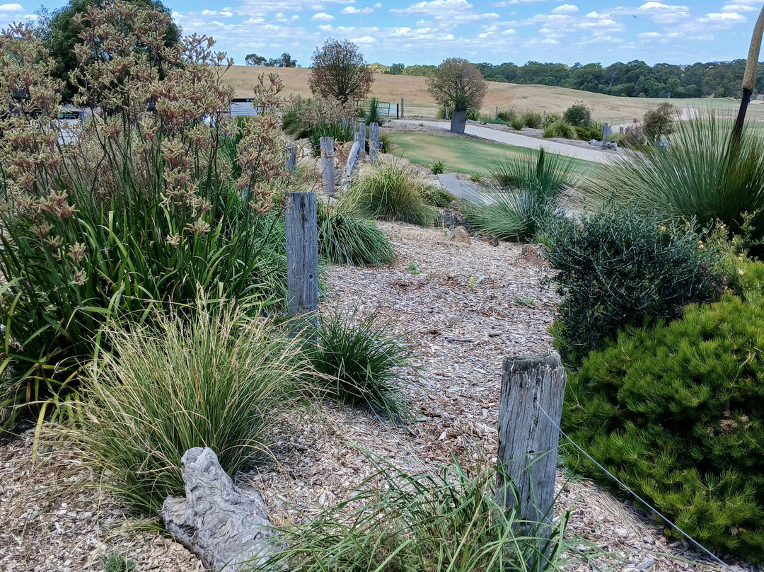 Growling Frog Golf Course-Yan Yean必去景点