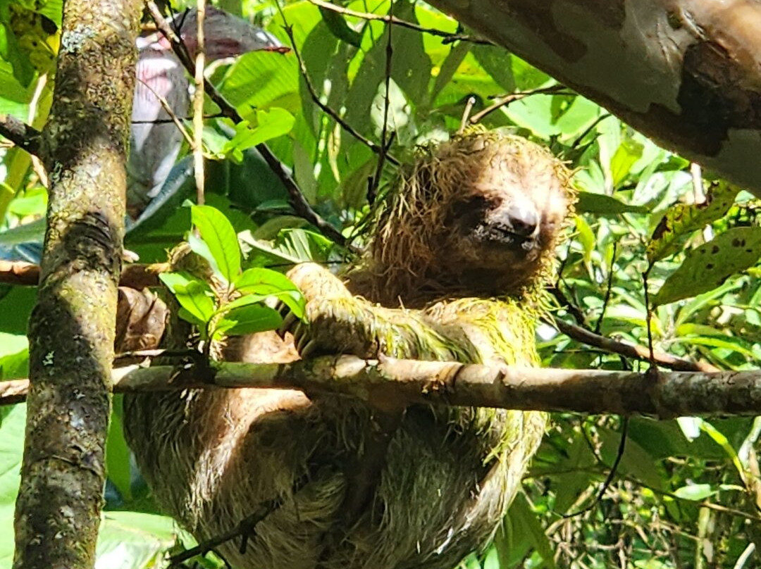 Funny Tours Costa Rica-利比里亚必去景点