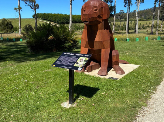 The Truffle Farm Tasmania-德洛兰恩必去景点