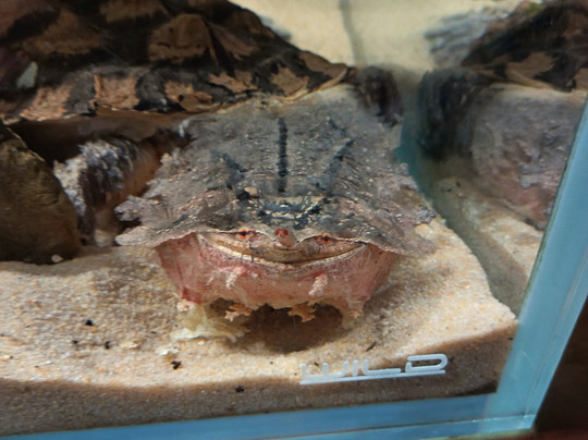 Citta Della Scienza-那不勒斯必去景点