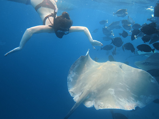 Pearlshine Tours-Gulhi Island必去景点