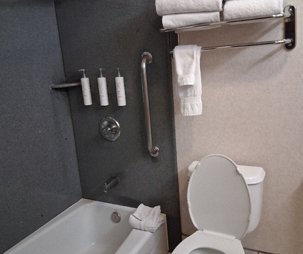 柑橘套房雷德兰兹洛马琳达酒店主图