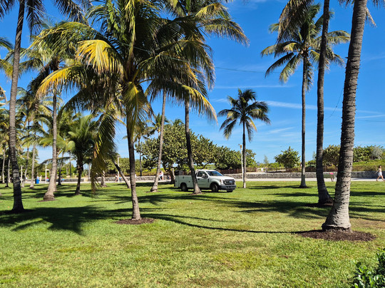 South Beach-迈阿密海滩必去景点