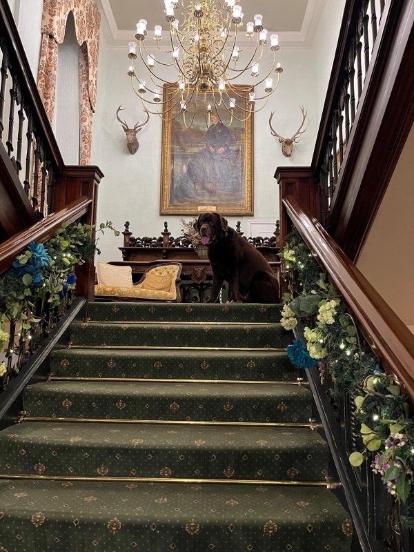 The Bulkeley Hotel-浴室