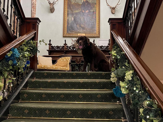 The Bulkeley Hotel主图