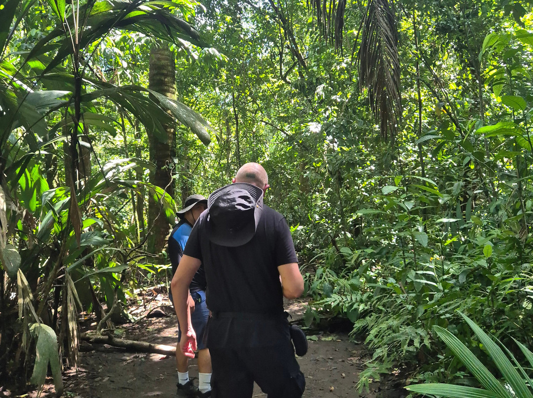 Hotel Serendipity Tortuguero主图