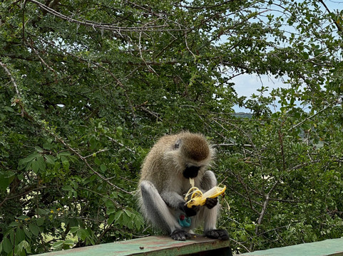 Utukufu Travels and Adventures-阿鲁沙必去景点