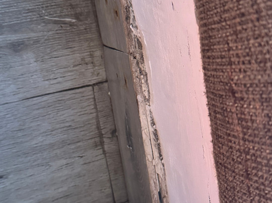 Lemon Tree Hotel, Jammu主图