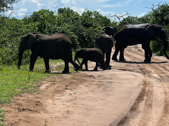 SAFARI.COM-开普敦中心区必去景点
