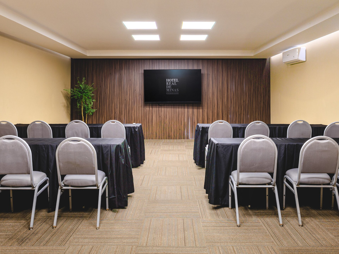 米纳斯皇家圣米格尔阿连德酒店主图