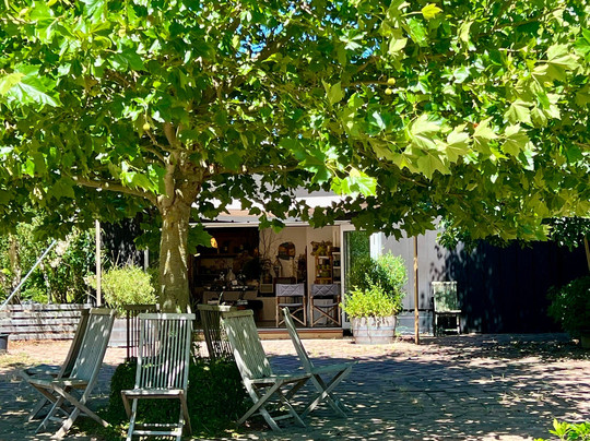 Tukairangi Gallery-Acacia Bay必去景点