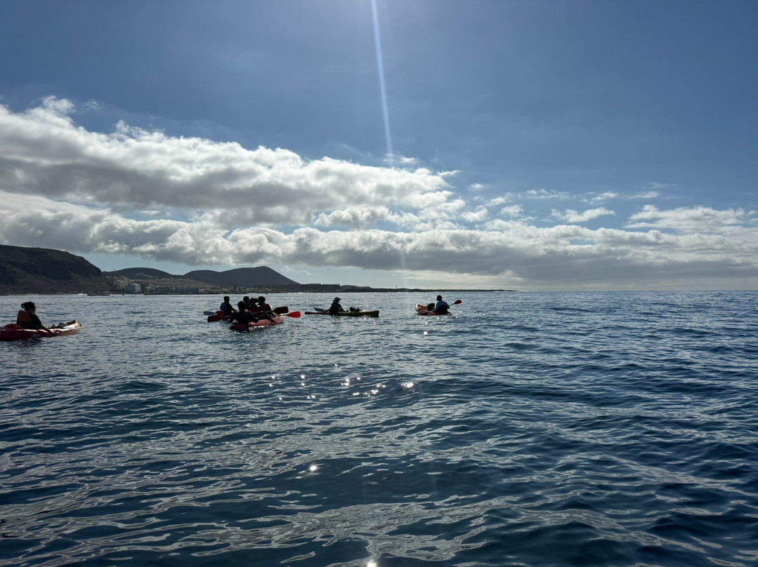 Easy Kayak Tenerife-Palm-Mar必去景点