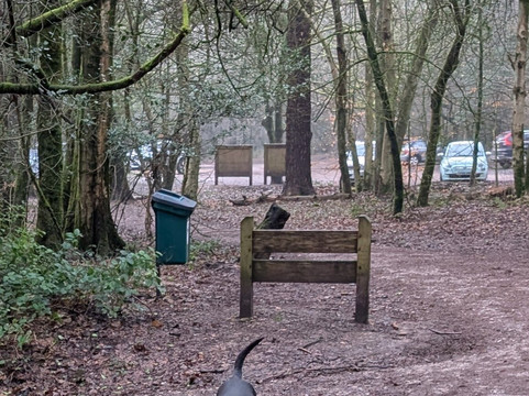 Leith Hill-多肯必去景点