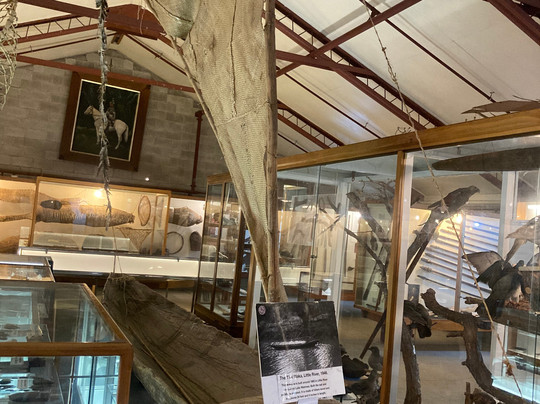 ZigZag Tours NZ-新普利默斯必去景点