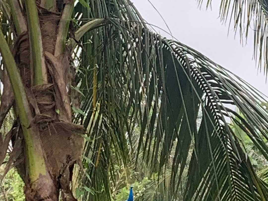 Wild View Stay主图