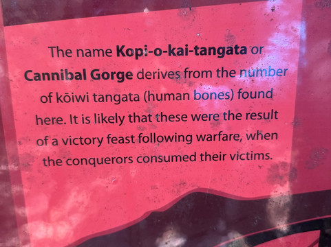 Lewis Pass-Maruia必去景点