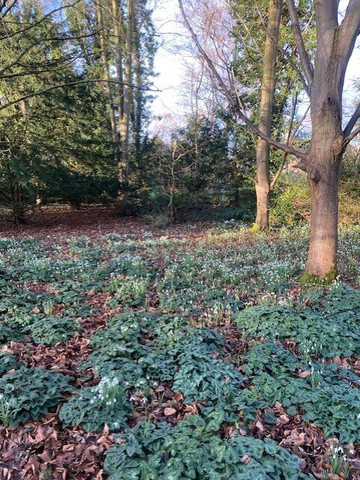 安格尔西修道院-Lode必去景点