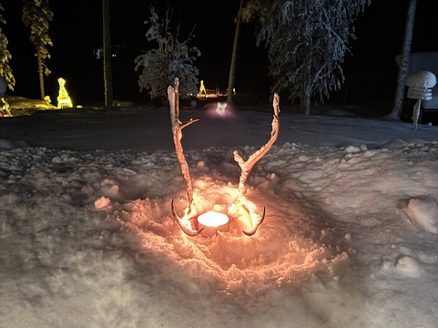 Wild Blueberry-罗瓦涅米必去景点