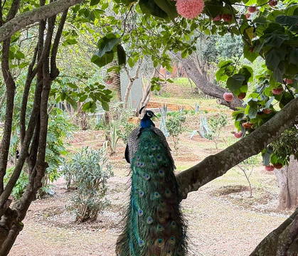 Boutaina-拉巴特必去景点