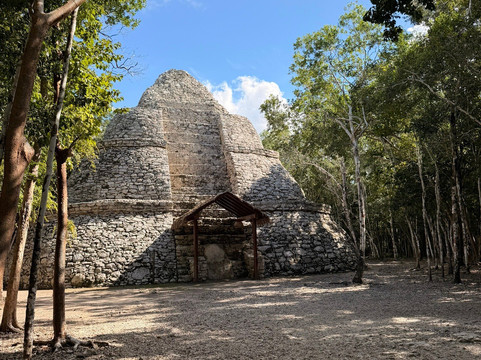 Roots & Ruins México-图伦必去景点