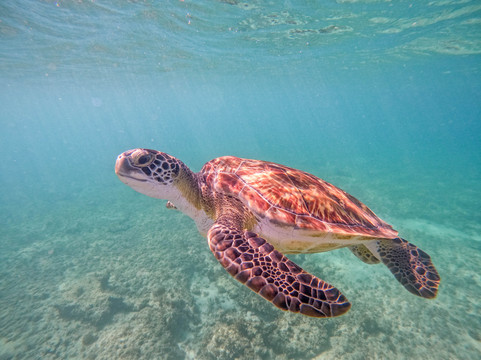 Riviera Elite Private Yacht Tours-阿范特拉斯港必去景点