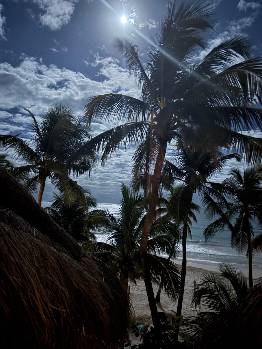 图卢姆海滩度假村-官方