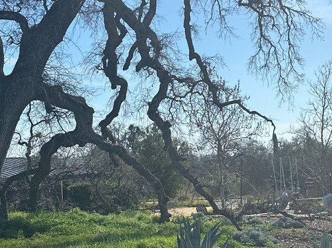 Casino Mine Ranch-Plymouth必去景点