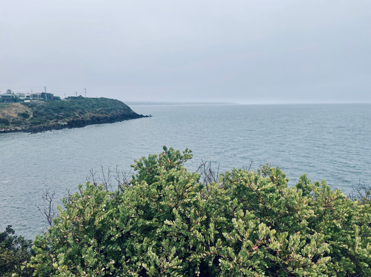 Linley Point-莫宁顿必去景点