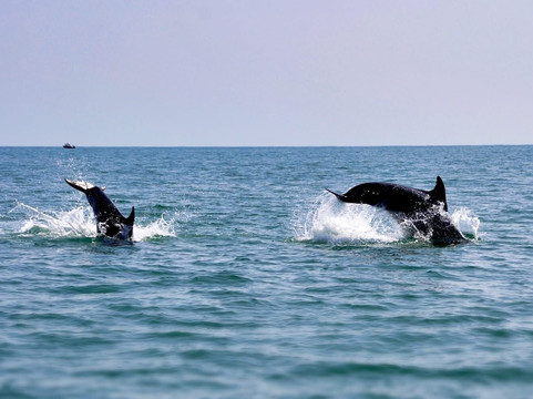 Little Bassett Bed & Breakfast主图