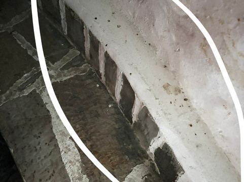 Chauve Souris Relais主图