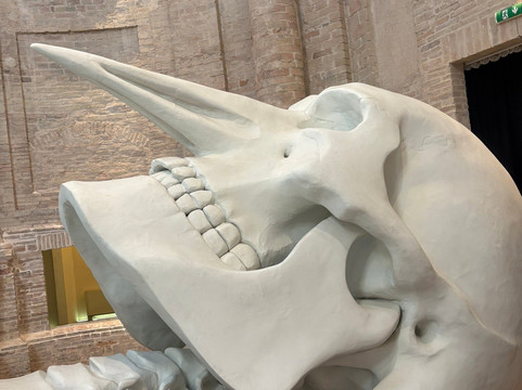 Calamita Cosmica - Centro Italiano Arte Contemporanea-福利尼奥必去景点