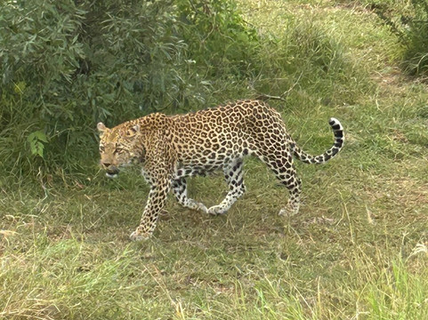 Legend Safaris-雾观必去景点