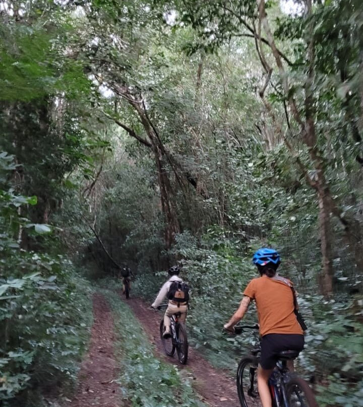 Báalam Nah; Experiencias de Aventura.-Felipe Carrillo Puerto必去景点