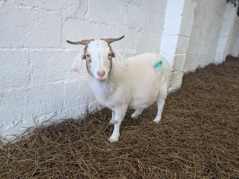 Cronkshaw Fold Farm-Rossendale必去景点