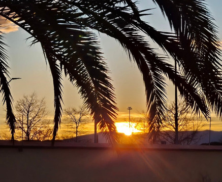 ASMANA Wellness World Florence-比森齐奥营必去景点