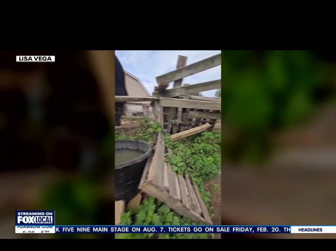 Friesian Herd Experiences-Mukwonago必去景点